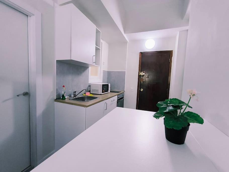 Apartamentos Carrillo 7 Санта-Крус-де-Тенеріфе Екстер'єр фото